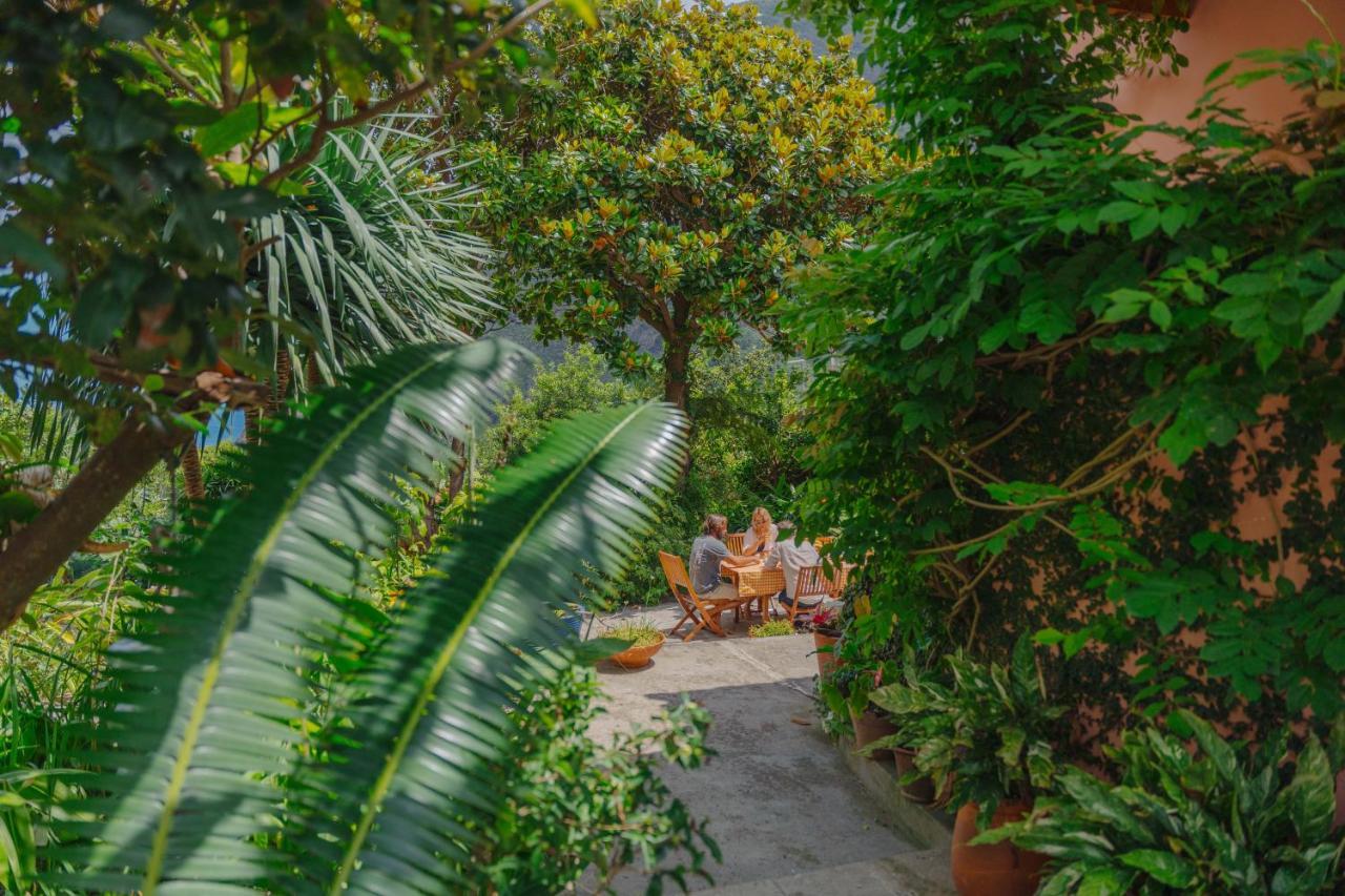 Madeira Surf Lodge Сан-Висенти Экстерьер фото
