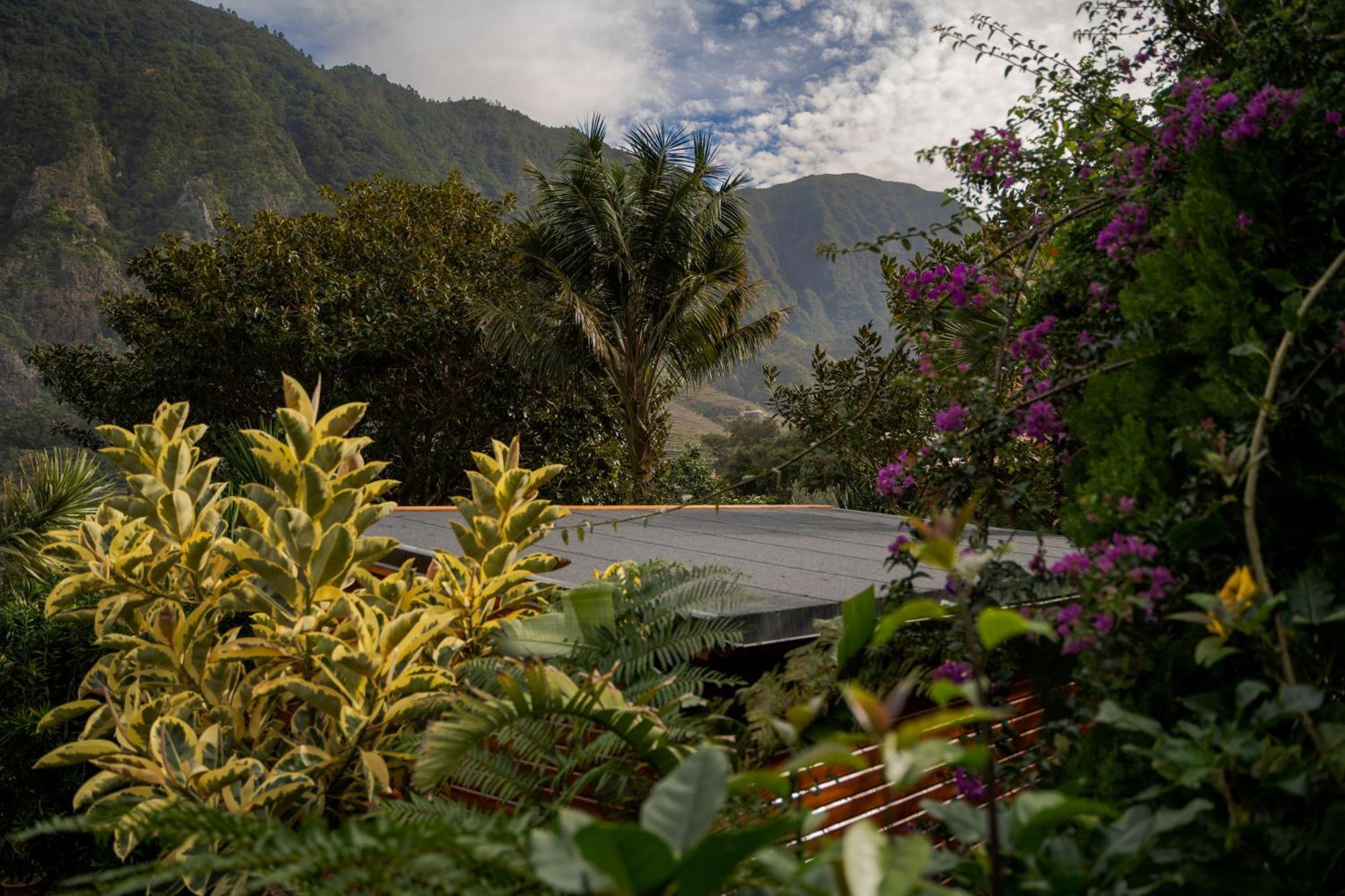 Madeira Surf Lodge Сан-Висенти Экстерьер фото